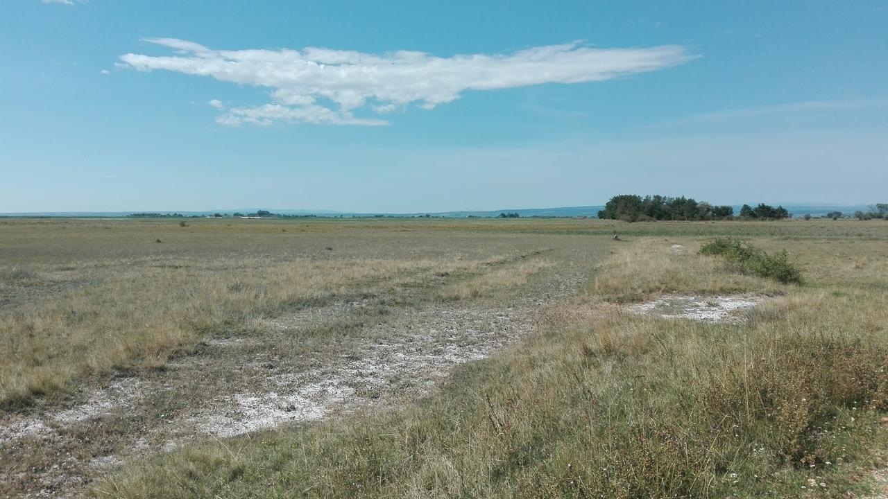 Ferienwohnungen Feldsee Illmitz Eksteriør billede