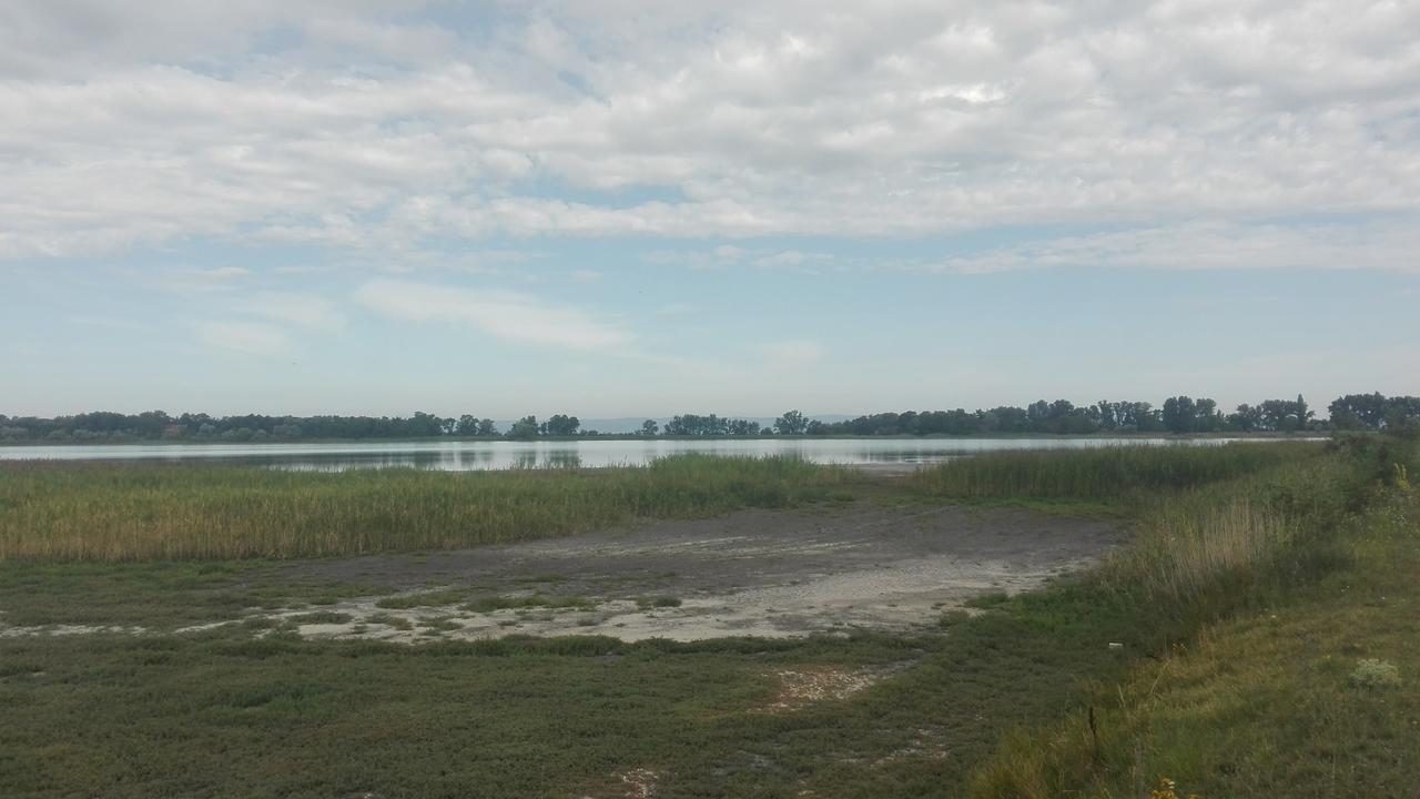 Ferienwohnungen Feldsee Illmitz Eksteriør billede