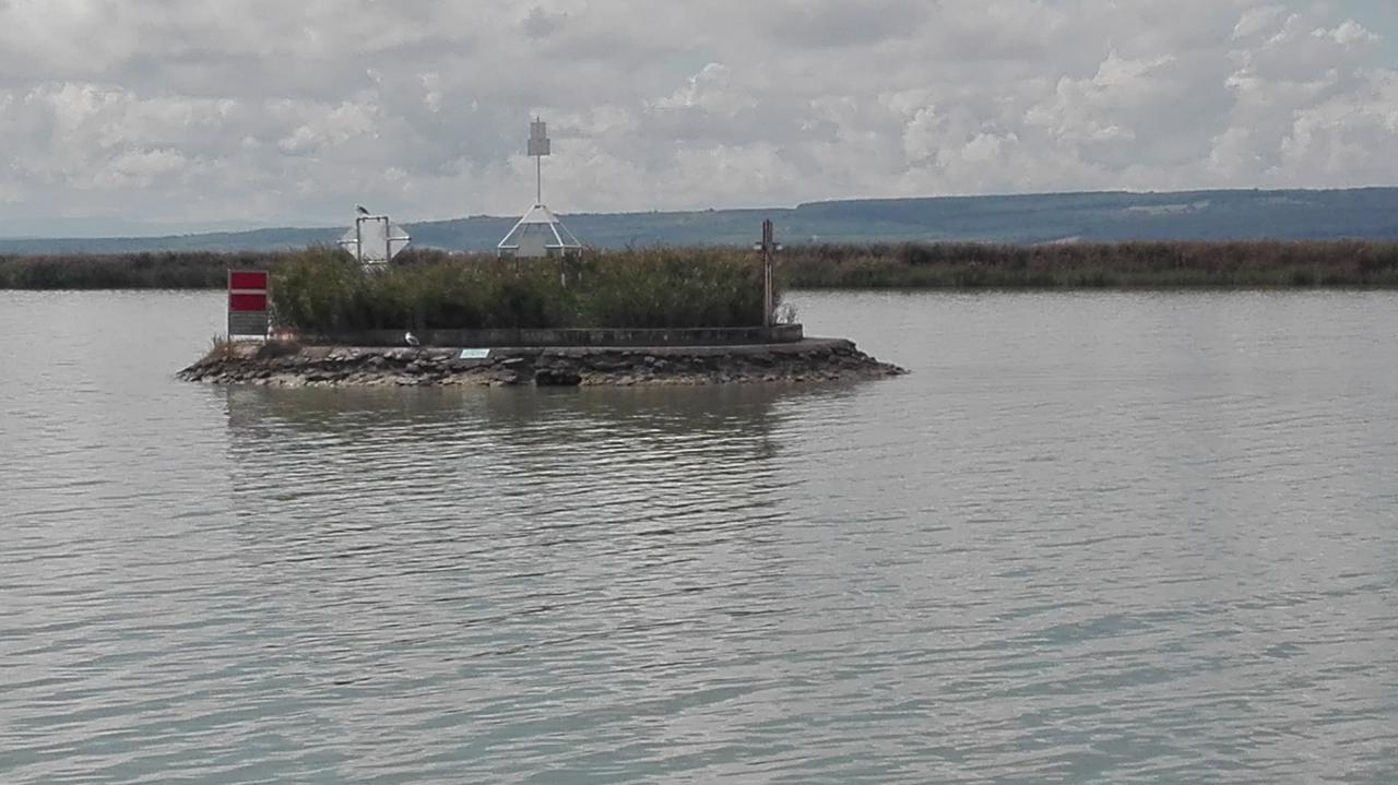 Ferienwohnungen Feldsee Illmitz Eksteriør billede